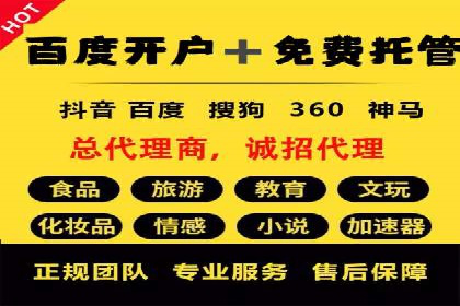 托管SEM竞价策略：行业领先企业的秘密武器